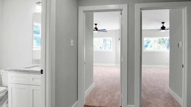 hall with a wealth of natural light and light colored carpet