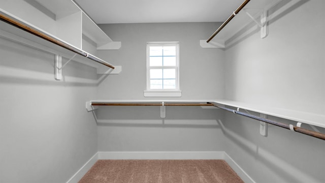 walk in closet with light colored carpet