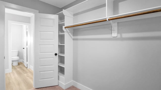 walk in closet featuring light hardwood / wood-style flooring