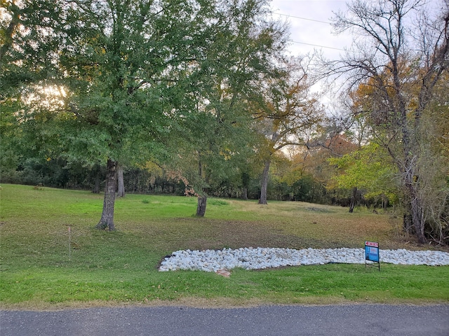 TBD Paradise Dr, Coldspring TX, 77331 land for sale