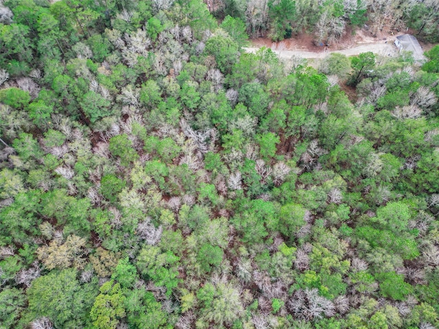 TBD N Westwood, Conroe, TX 77302 - photo 15