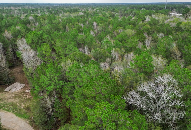 TBD N Westwood, Conroe, TX 77302 - photo 4