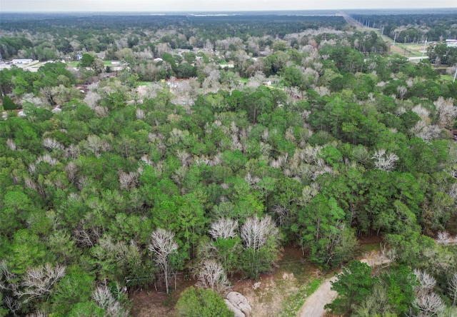 TBD N Westwood, Conroe, TX 77302 - photo 10
