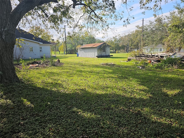 view of yard with a shed