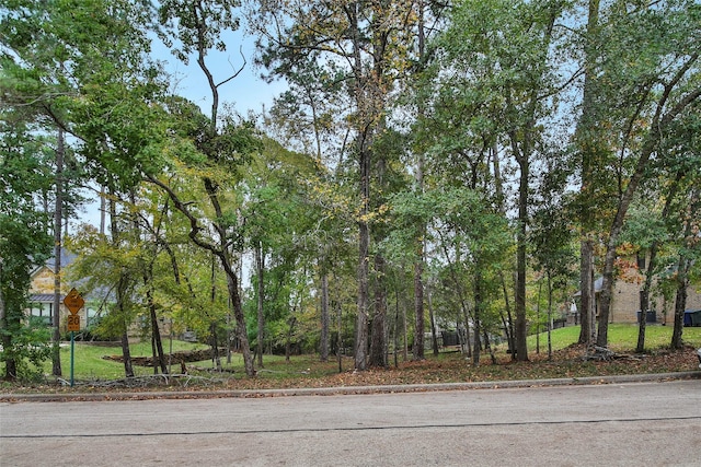 1404 River Oaks Dr, Huntsville, TX 77340 - photo 5
