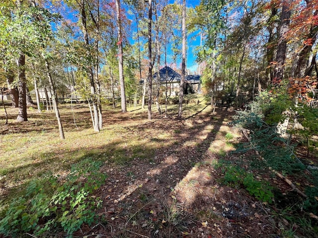1404 River Oaks Dr, Huntsville, TX 77340 - photo 1