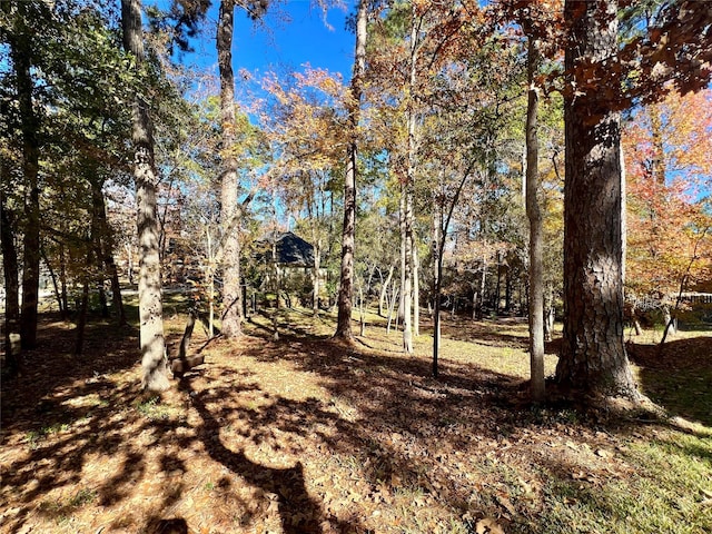 1404 River Oaks Dr, Huntsville, TX 77340 - photo 4