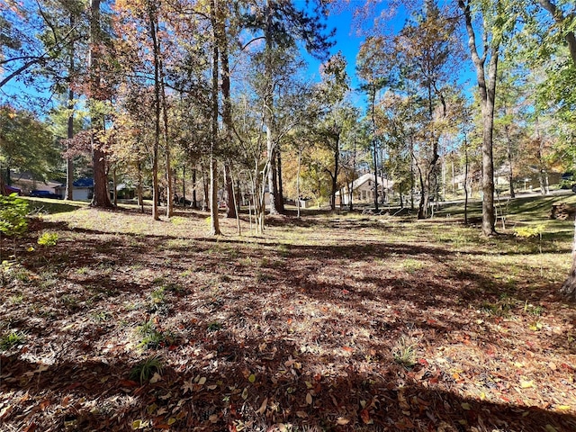 1404 River Oaks Dr, Huntsville, TX 77340 - photo 6