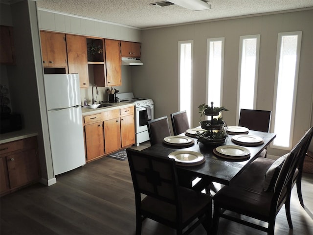 dining room featuring dark hardwood / wood-style flooring, sink, a textured ceiling, and ornamental molding