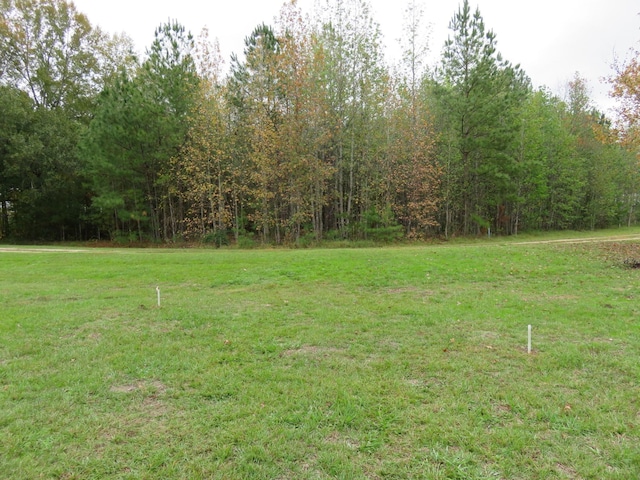 290 County Road 2160, Cleveland, TX 77327 - photo 8