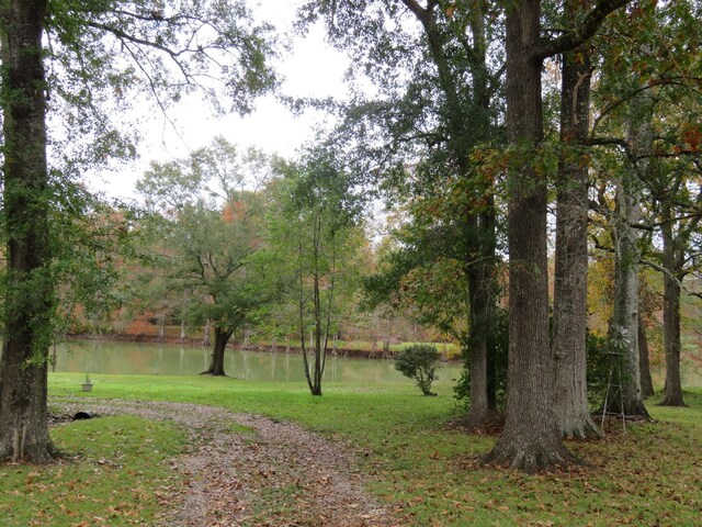 290 County Road 2160, Cleveland, TX 77327 - photo 17
