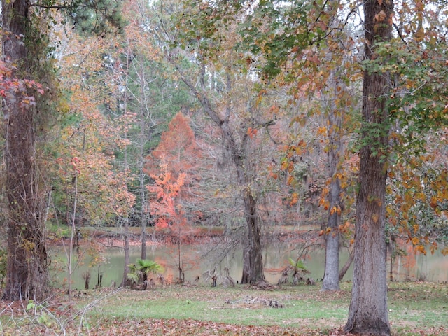 290 County Road 2160, Cleveland, TX 77327 - photo 19