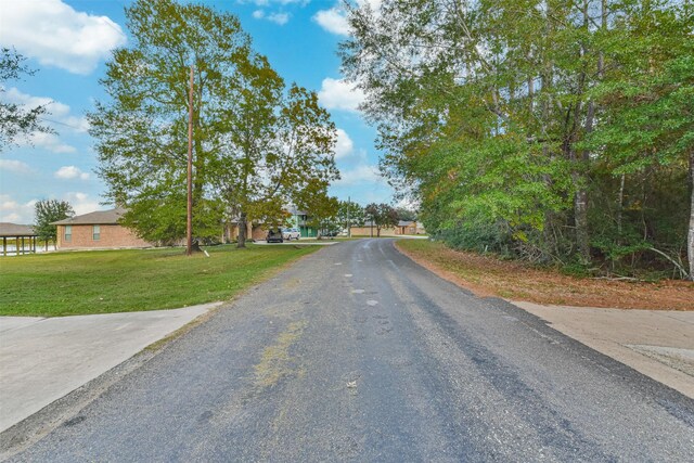 0 Lakeway Dr, Trinity, TX 75862 - photo 11