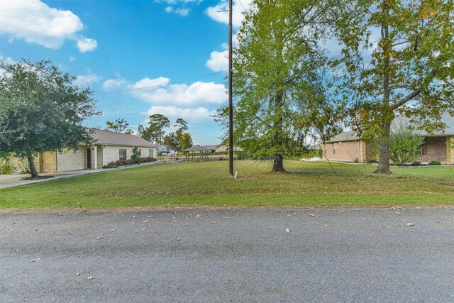 0 Lakeway Dr, Trinity, TX 75862 - photo 12