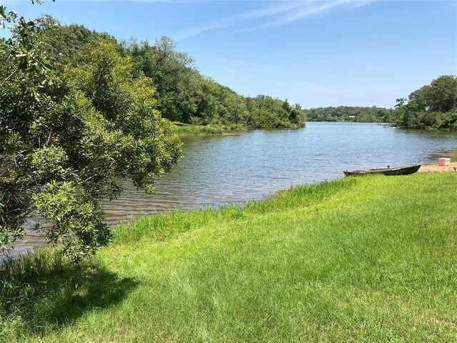 LOTS107 Springview Ln, Hilltop Lakes, TX 77871 - photo 9