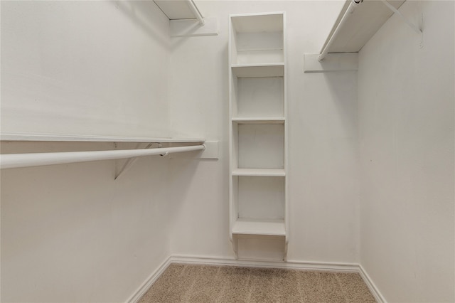 spacious closet with light colored carpet