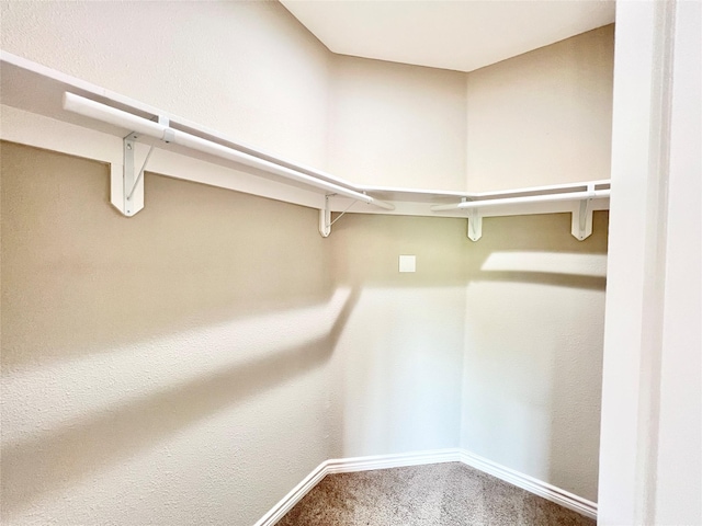 spacious closet with carpet floors