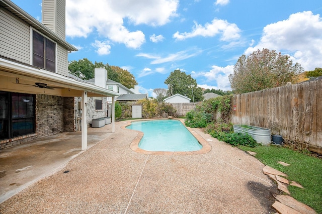 view of pool featuring a patio and ceiling fan