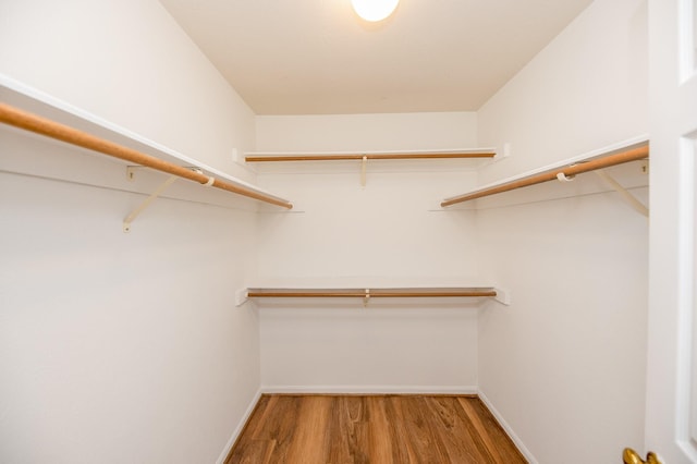 walk in closet featuring hardwood / wood-style flooring