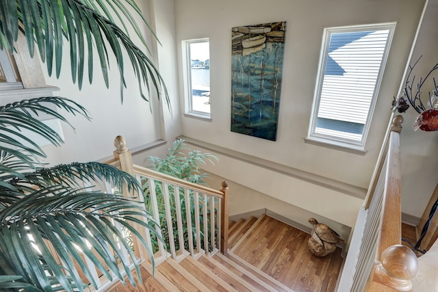 stairs featuring hardwood / wood-style flooring