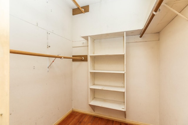 walk in closet featuring wood-type flooring