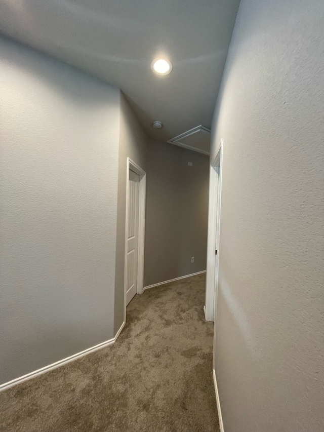 hallway featuring carpet