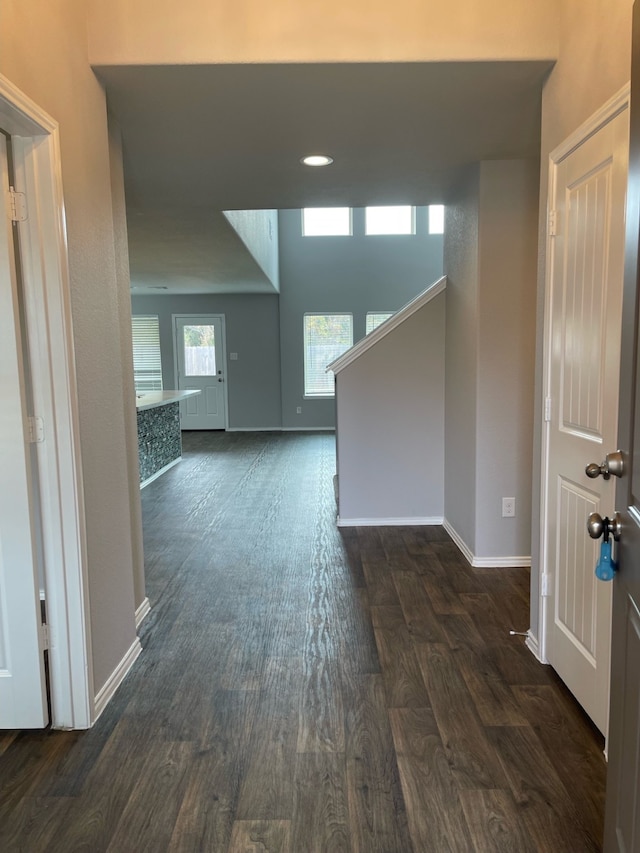 interior space with dark hardwood / wood-style flooring