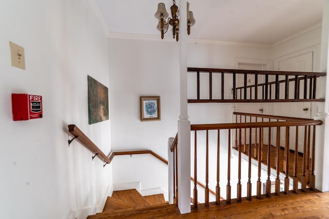 staircase with wood-type flooring, ornamental molding, and a notable chandelier