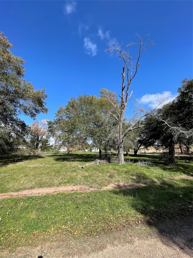 1400 Shepard St, Hempstead, TX 77445 - photo 1