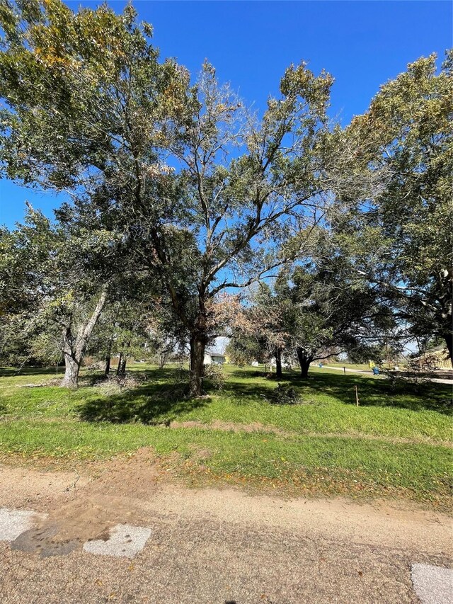 1400 Shepard St, Hempstead, TX 77445 - photo 2
