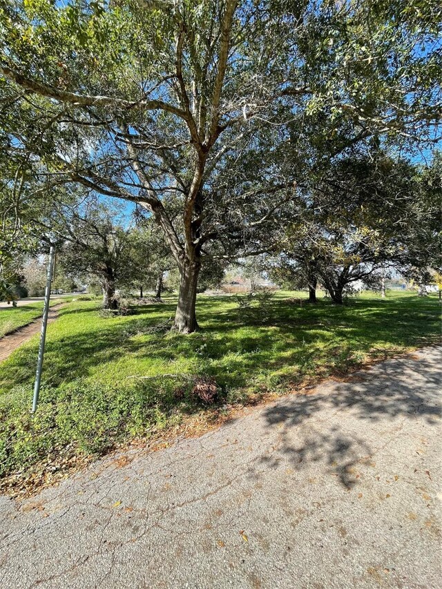 1400 Shepard St, Hempstead, TX 77445 - photo 4