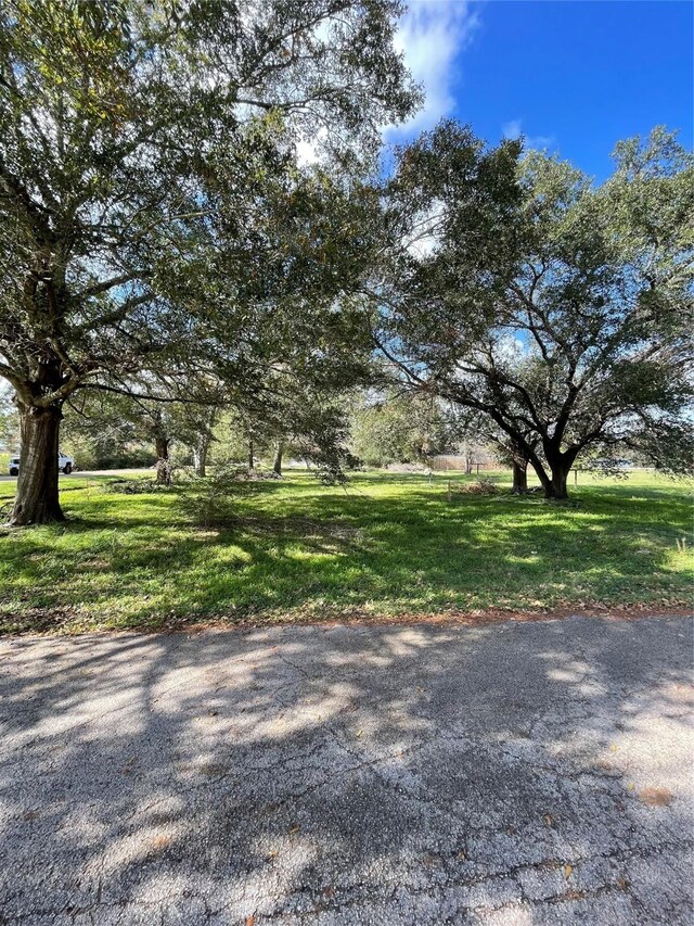 1400 Shepard St, Hempstead, TX 77445 - photo 5