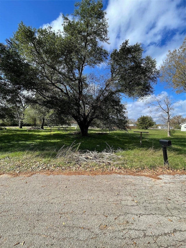 1400 Shepard St, Hempstead, TX 77445 - photo 6