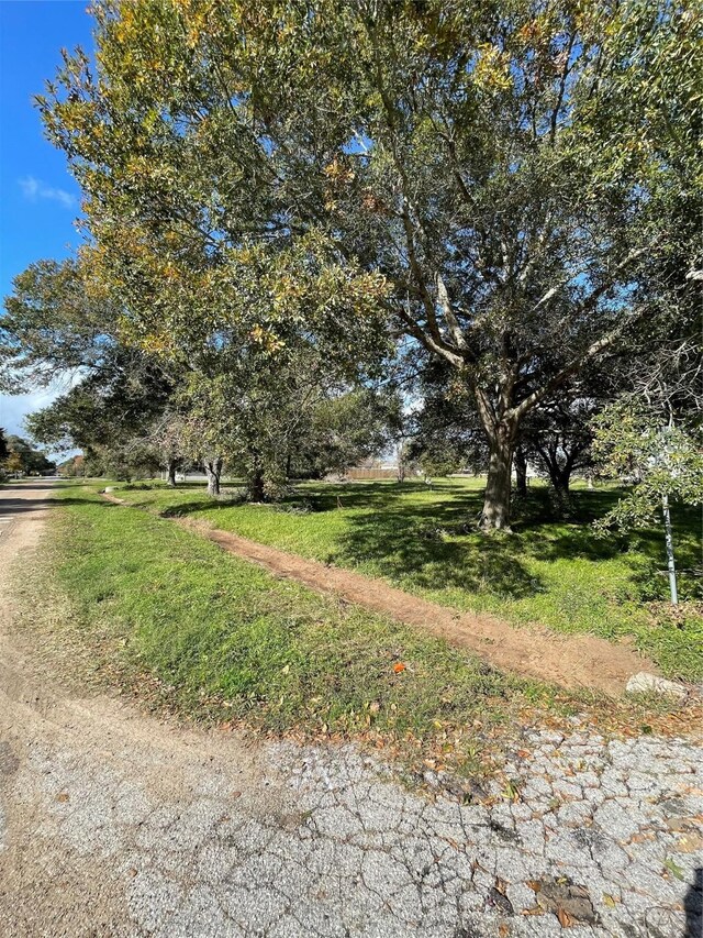1400 Shepard St, Hempstead, TX 77445 - photo 3