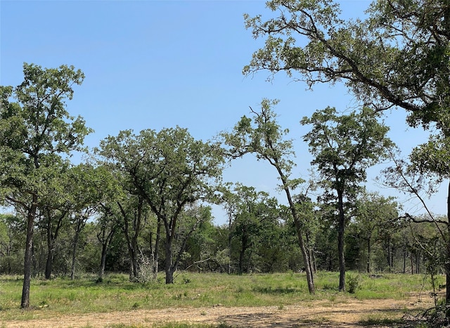 Listing photo 3 for TBD High Crossing Rd Unit 7-8, Smithville TX 78957