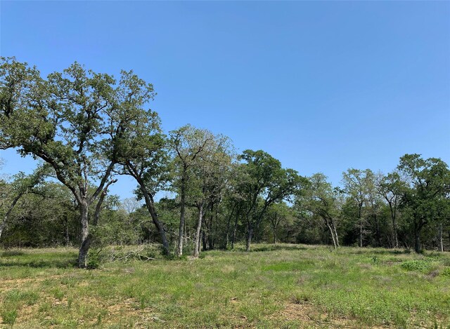 TBD High Crossing Rd Unit 7-8, Smithville, TX 78957 - photo 4