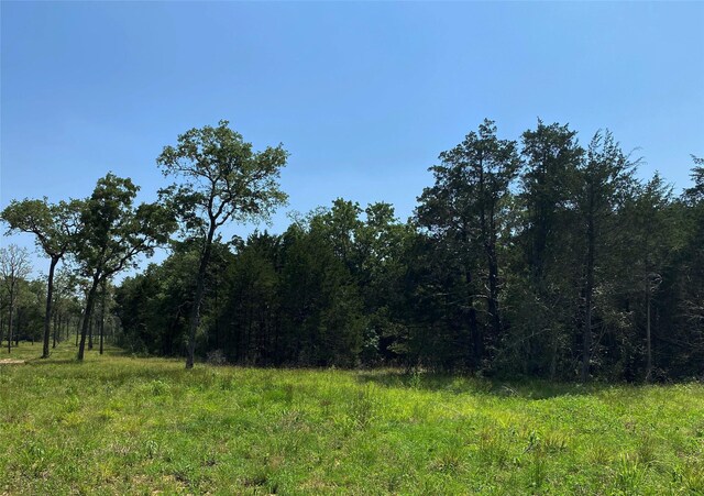 TBD High Crossing Rd Unit 7-8, Smithville, TX 78957 - photo 5