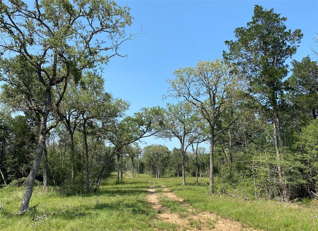 TBD High Crossing Rd Unit 7-8, Smithville, TX 78957 - photo 6