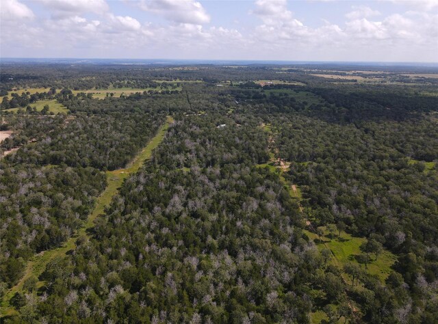 TBD High Crossing Rd Unit 7-8, Smithville, TX 78957 - photo 12
