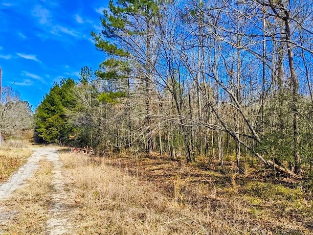 TBD Veal St, Chester TX, 75936 land for sale