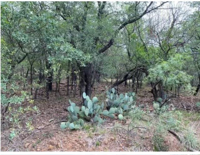 0 NE 8th Ave, Mineral Wells TX, 76067 land for sale