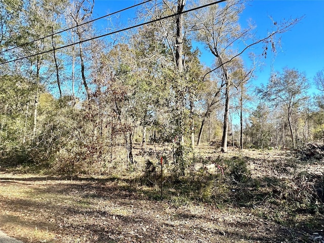 001 China Rd N, China, TX 77713 - photo 2