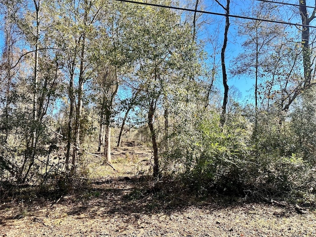 001 China Rd N, China, TX 77713 - photo 3