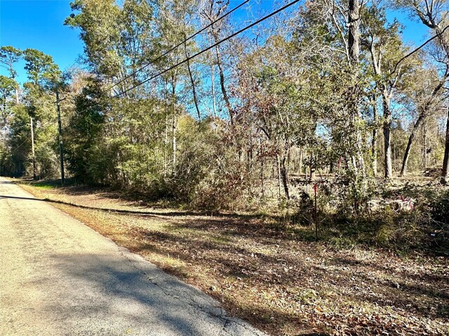 001 China Rd N, China, TX 77713 - photo 4