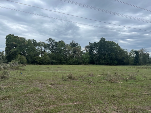 LOT9 County Road 166, Iola TX, 77861 land for sale