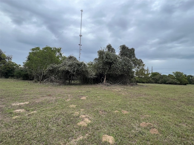 LOT10 County Road 166, Iola, TX 77861 - photo 1