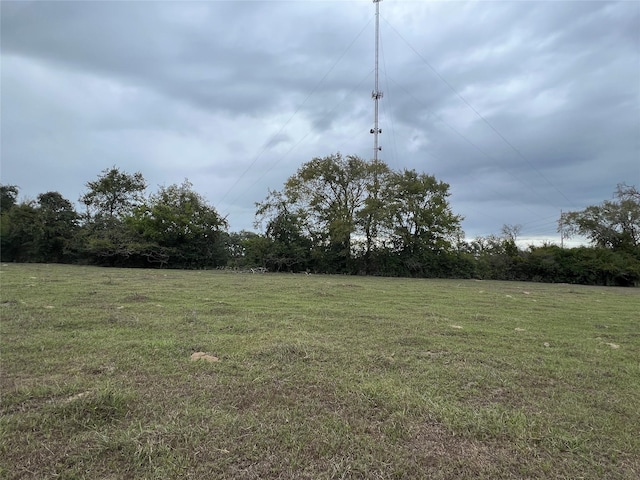 LOT10 County Road 166, Iola, TX 77861 - photo 2