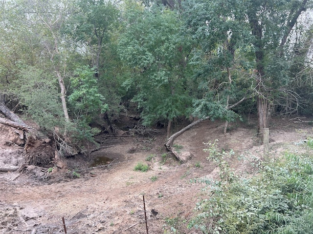 LOT10 County Road 166, Iola, TX 77861 - photo 4