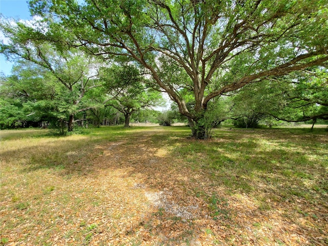 TBD Avenue D, Van Vleck TX, 77482 land for sale