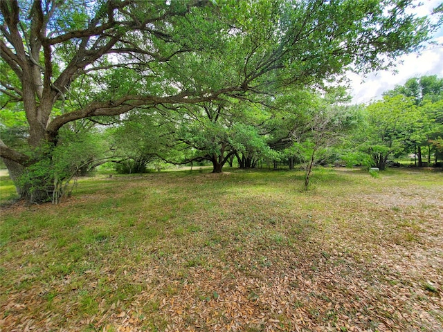 Listing photo 2 for TBD Avenue D, Van Vleck TX 77482